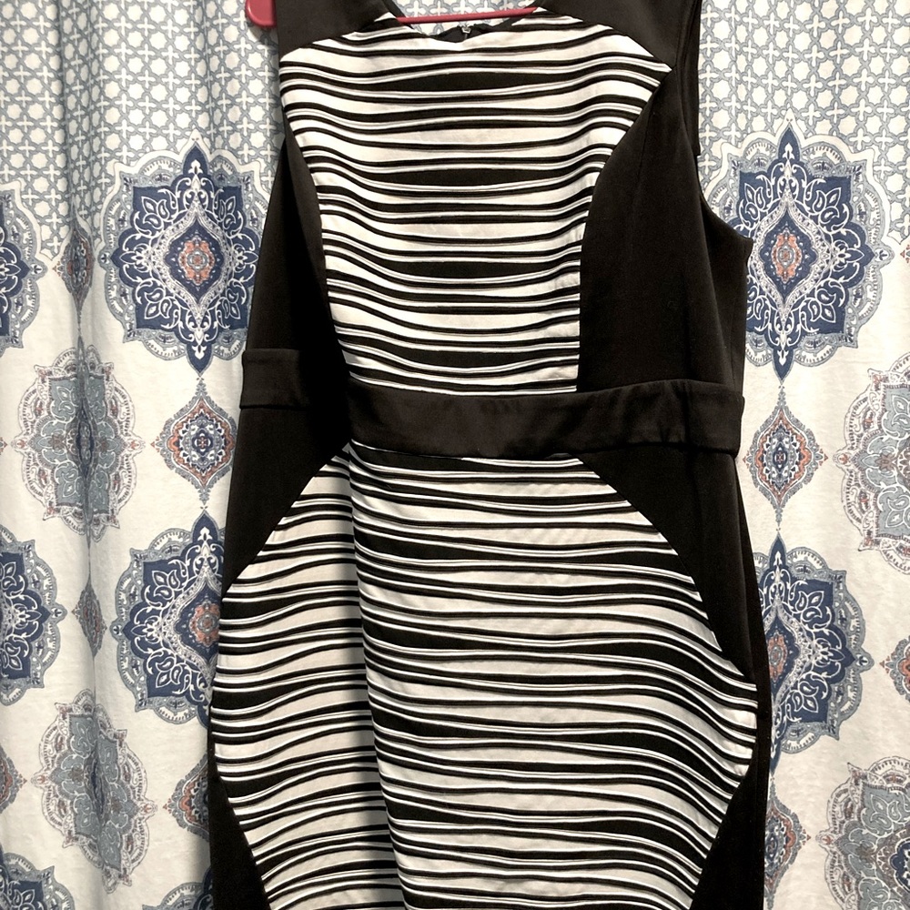 Plus Size business dress